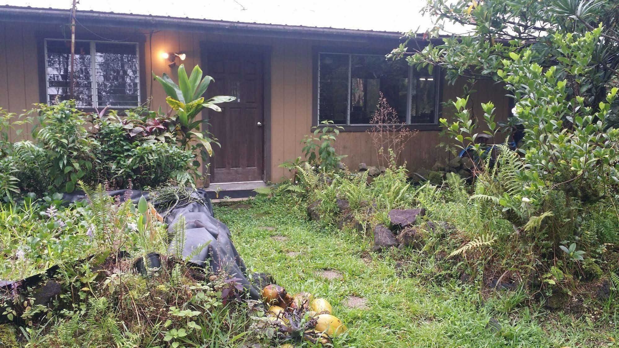 Hale Hale Hostel Pahoa Esterno foto