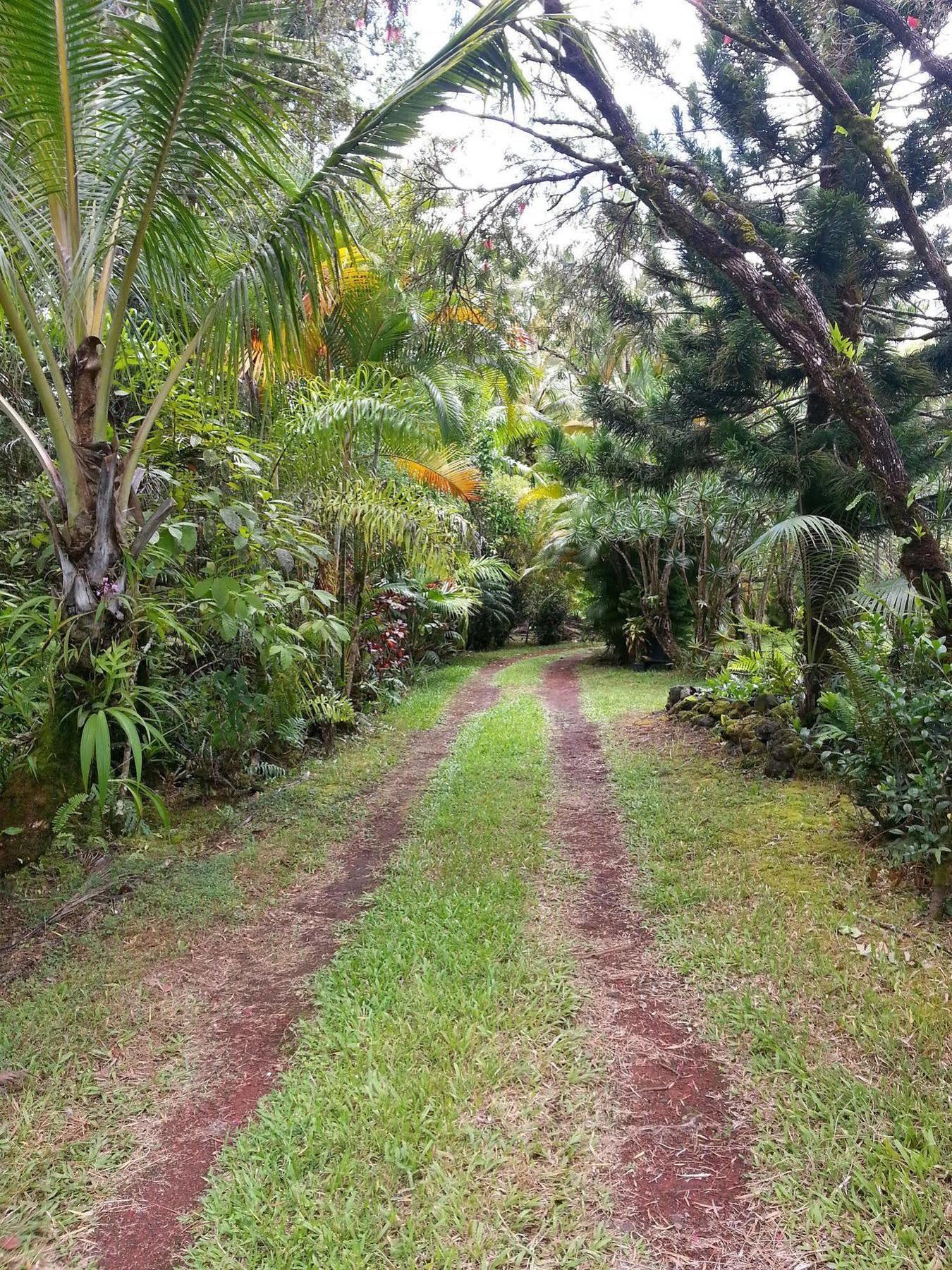 Hale Hale Hostel Pahoa Esterno foto