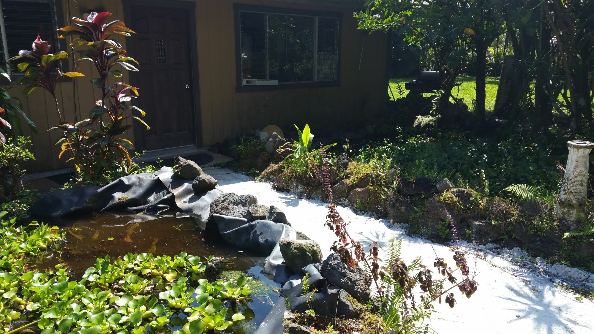 Hale Hale Hostel Pahoa Esterno foto